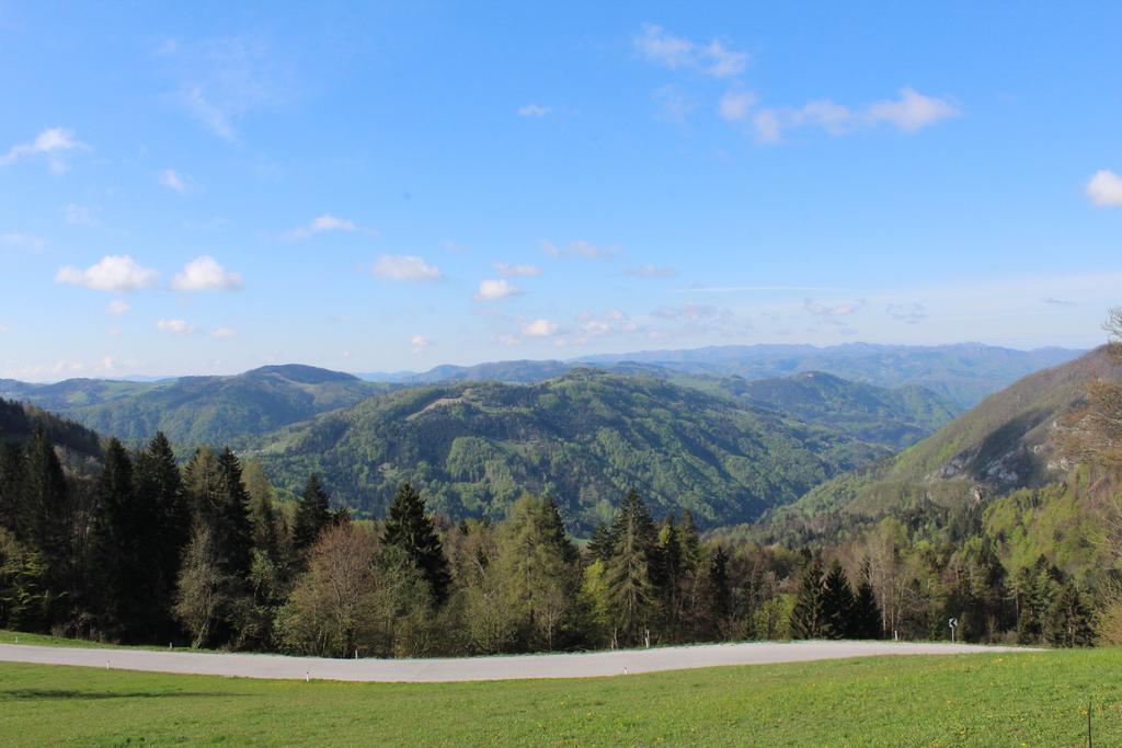 Domacija Za Robom Apartment Cerkno Bagian luar foto