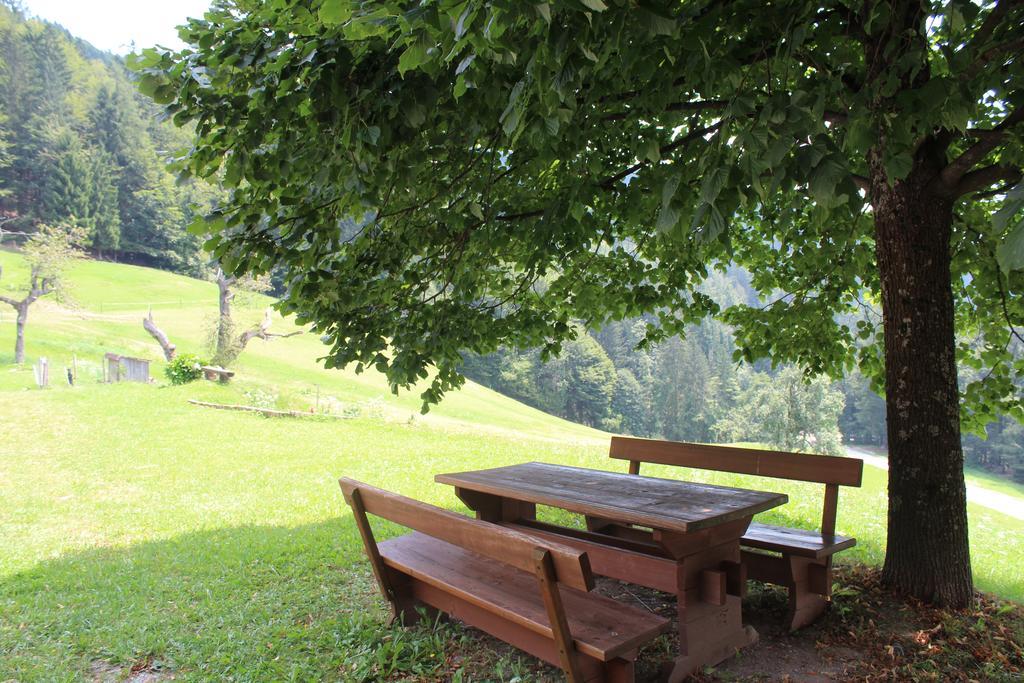 Domacija Za Robom Apartment Cerkno Bagian luar foto