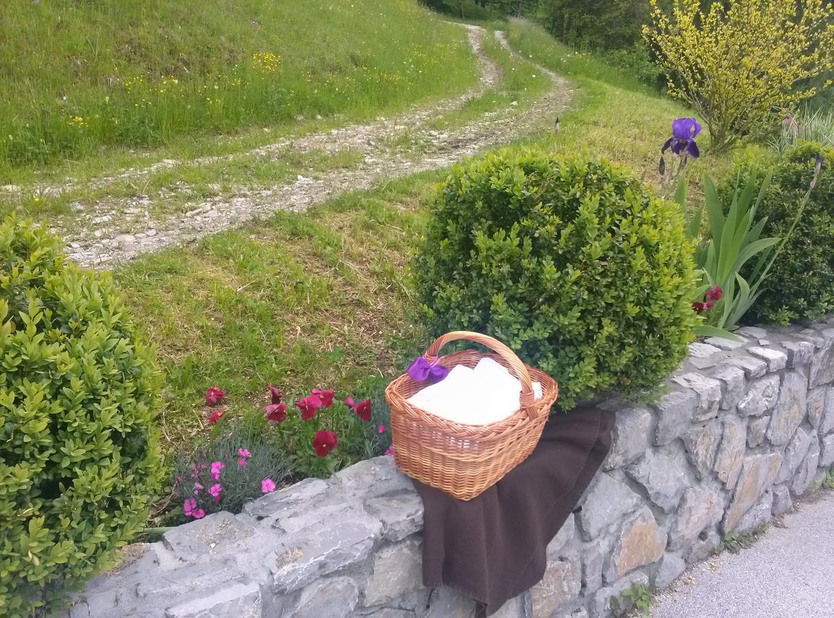 Domacija Za Robom Apartment Cerkno Bagian luar foto