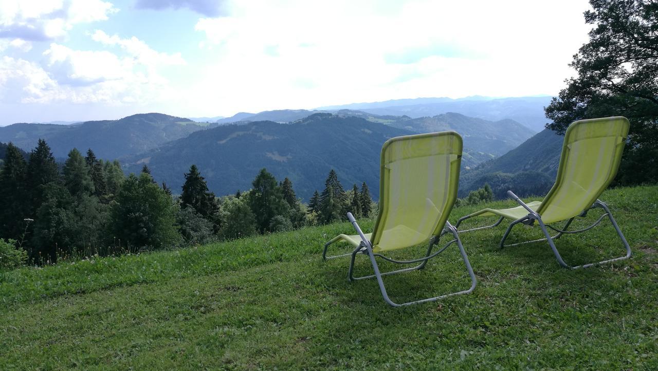 Domacija Za Robom Apartment Cerkno Bagian luar foto