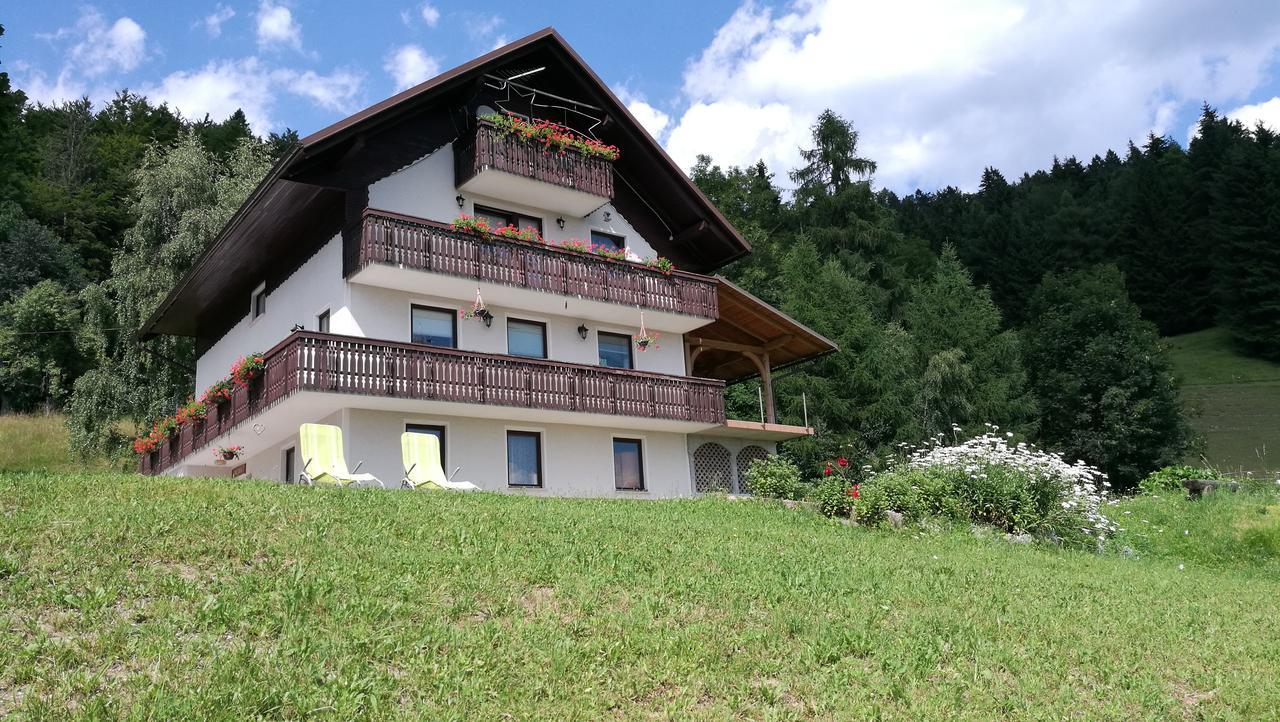 Domacija Za Robom Apartment Cerkno Bagian luar foto