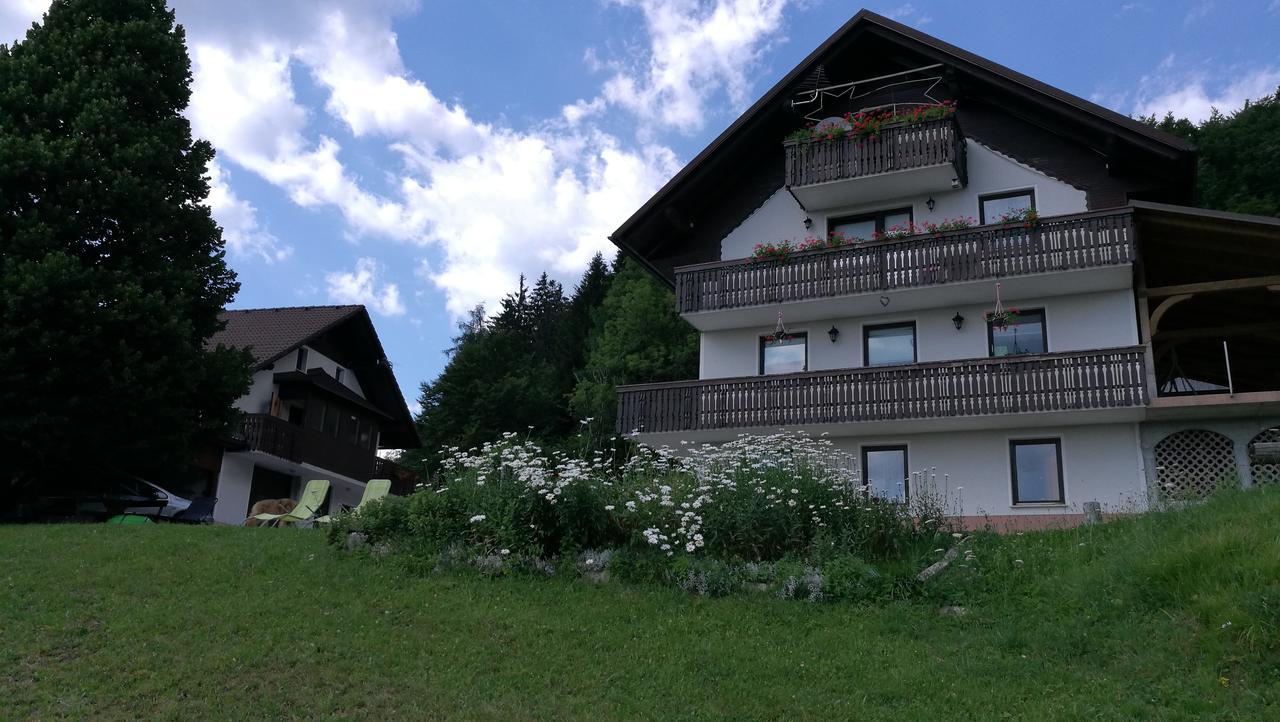 Domacija Za Robom Apartment Cerkno Bagian luar foto
